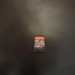 スプラトゥーン2ソフトのみ