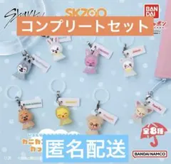 skzooめじるしアクセサリーガチャコンプリートセットstraykids スキズ