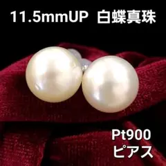 激安！大粒 11.5mmUP 白蝶真珠 プラチナ Pt900 ピアス 本真珠
