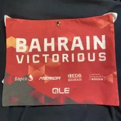 まっすー様 リクエスト 2点 まとめ商品