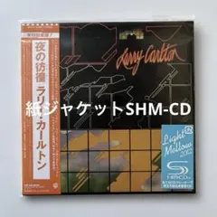 ポールマッカートニー 限定 シルバー LP 銀 - メルカリ