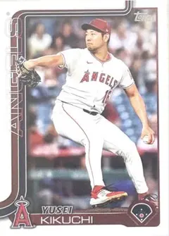 Item thumbnail for item 8d99853d-c36e-466e-8e92-d4e26964c6ea