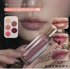 ENTROPY チュールグロス T4 ROBE ローブのサムネイル