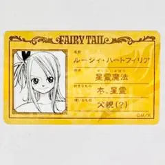 フェアリーテイル　メディコス　プロフィールカード ルーシィ