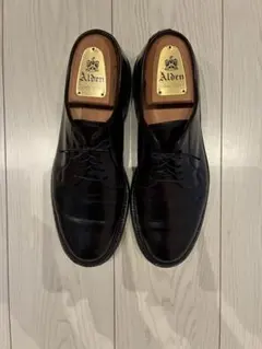 2026年最新】alden コードバン 990の人気アイテム - メルカリ