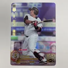 春風野薔薇様 リクエスト 2点 まとめ商品