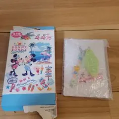 Disney SUNNY SUNNY SUMMER キーホルダー　チプデのサムネイル