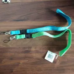 Item thumbnail for item 16a10cd1-eb2c-4c9c-b597-50a73fad7ce0