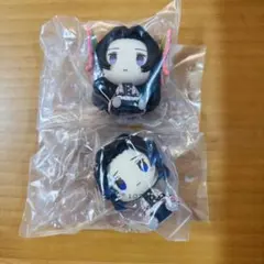 鬼滅の刃 一番くじ 雷の兄弟 D賞 胡蝶しのぶ 胡蝶カナエ