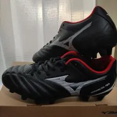 ミズノ　モナルシーダNEO　25.0