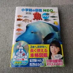 Item thumbnail for item 486af4f8-86cf-4d5a-a70f-a270214314b2