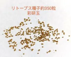 shige-ema様 リクエスト 5点 まとめ商品