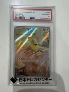 2026年最新】psa10 わんぱちの人気アイテム - メルカリ