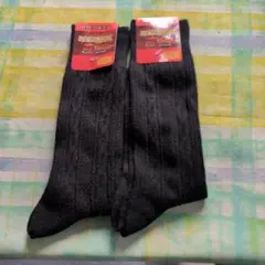 Item thumbnail for item e4c36375-422f-499b-a135-a66080686f32