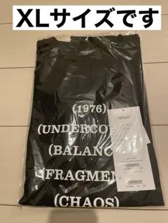 NF×フラグメント サカナクション Tシャツ ショーツ セットアップ L 