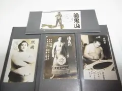 相撲ファンの方へ⭐︎懐かしい横綱4人の集合写真（貴乃花・若乃花・曙