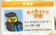 yasu様 リクエスト 3点 まとめ商品