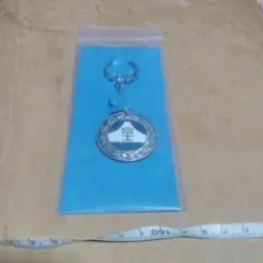 【特急　富士】 ヘッドマーク キーホルダー