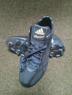 Item thumbnail for item 0334f5da-e063-4992-b6a2-3144fc0f6317