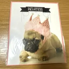 【新品】バースデーカード