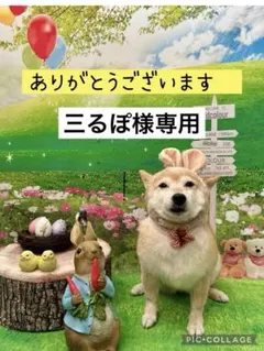 三るぽ様専用　フラットバッグ　コースター3枚