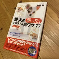 Item thumbnail for item dc4f25a8-fe31-441e-af8a-50a293eb0d62