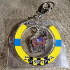 JRA ウェルカムチャンス　ジャンタルマンダル アクリルキーホルダー