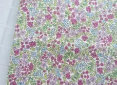 Item thumbnail for item 4c011440-b207-4222-acd2-88afe2a3eef9