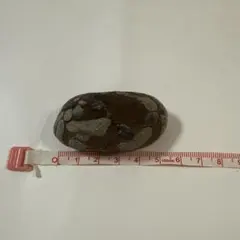 Item thumbnail for item 92139231-2169-4d59-a555-3a3736622f18