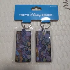 【新品未使用】東京ディズニーリゾート アクリルキーホルダー 2個セット