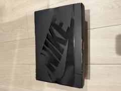 Item thumbnail for item 1455eb75-59cf-47a0-a501-16265ba561a9