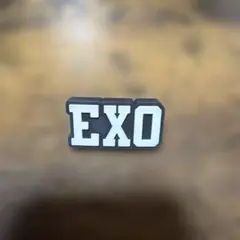 2026年最新】exo ペンライトアクセサリーの人気アイテム - メルカリ