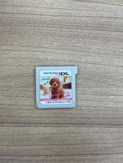 nintendogs+cats トイ・プードル&Newフレンズ