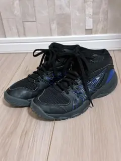 21cm ダンクショット バッシュ 黒 バスケ