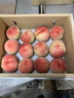 小さな夢みずき2k箱(12個入)【家庭用】のサムネイル