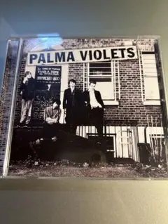 Palma Violets 180