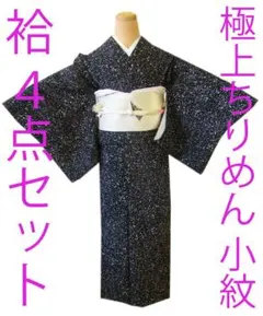 絽 紗 盛夏 小紋 フルセット 植物紋様 153 モノトーン 着物 バチ衿 夏2 