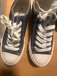 Item thumbnail for item 71dae2e6-0d4f-47e5-a98d-eff64b776aed