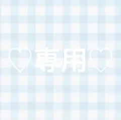 u様 リクエスト 2点 まとめ商品
