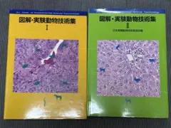 2026年最新】実験動物の技術と応用 実践編の人気アイテム - メルカリ