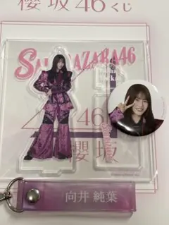 櫻坂46 ローソンくじ 向井純葉 アクリルスタンド 缶バッジ