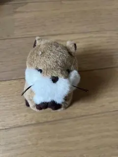リス ぬいぐるみ 茶色/白　かわいい　小さめのサムネイル