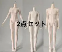 ホットトイズ 「バイオハザード4」 エイダ・ウォン 女性素体 2体セット ホットトイズ 「バイオハザード4」 エイダ・ウォン 女性素体 2体セット