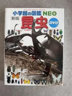 フィルム加工済！ 小学館の図鑑 NEO 昆虫 DVD 未開封