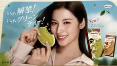 TWICE SANAサナさん 特大販促ボード ハーゲンダッツ