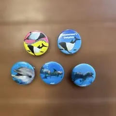 アドベンチャーワールドイルカ ミニ缶バッジ 5個セット