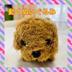 NICO ロボティカ 動くおもちゃの子犬型ペットロボット - メルカリ