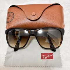 Ray-Ban レイバン RB4181F サングラス ケース付 ブラウン系