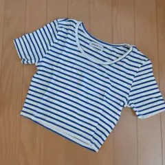 BROWNY ボーダー 半袖 Tシャツ ホワイト ブルー　クロップドトップス