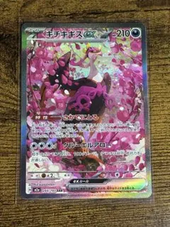 メガドリーム　キチキギスexSAR